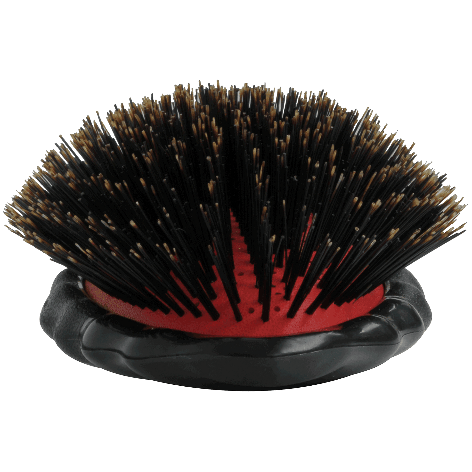 Y.S.PARK - Nr. 68                                                                                                                      En ovalformad stylingborste i plast för snabb torkning av håret med fön tack vare 30 lufthål genom borsten. Vildsvinsborst ger håret en naturlig glans med en härlig textur.  Handtaget är utformat med en sådan lutning att handen inte kommer åt huvudet när man borstar samt med ventilationshål för att en blöt hand ska torka snabbare och få ett bättre grepp.